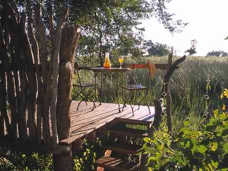 Luxury Okavango Delta Fly-In Honeymoon Safari